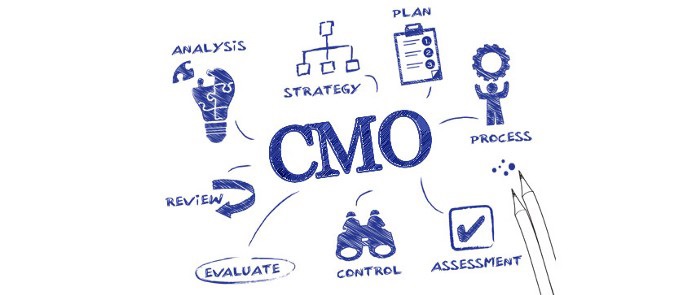 Analyzing the CEO–CMO relationship and its effect on growth